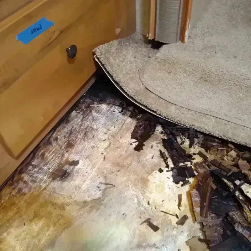 Best Wood Floor Water Damage Service in Bulloch County, GA